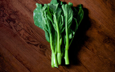 Pak choi/Bok choy