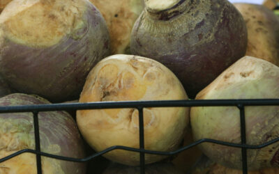 Rutabaga