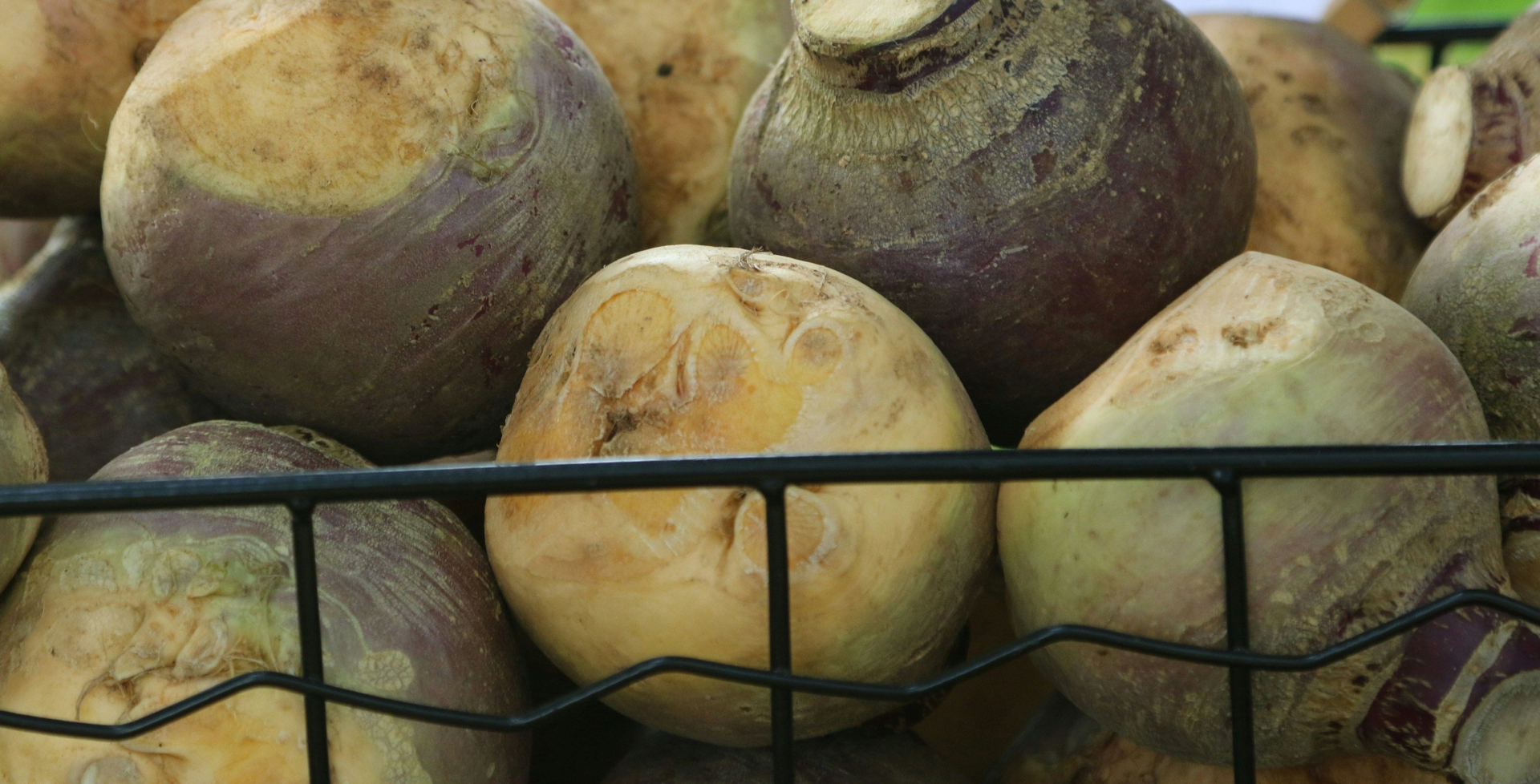 Rutabaga