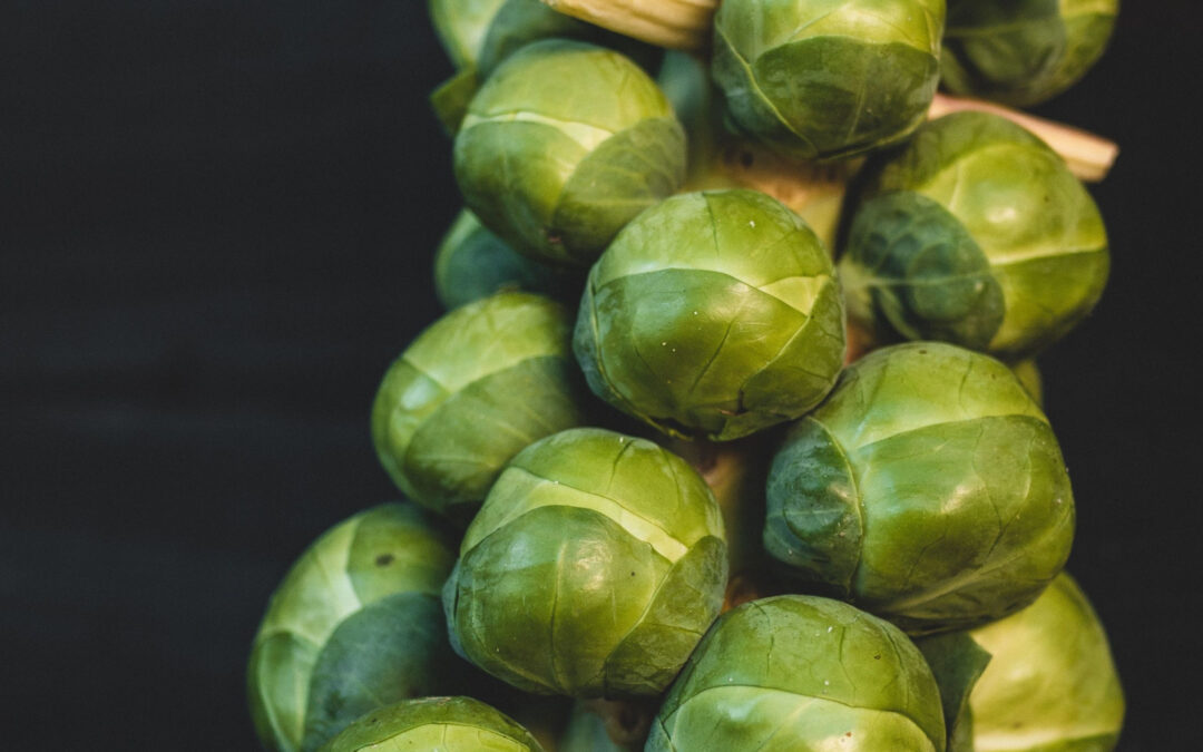 Brussel Sprouts