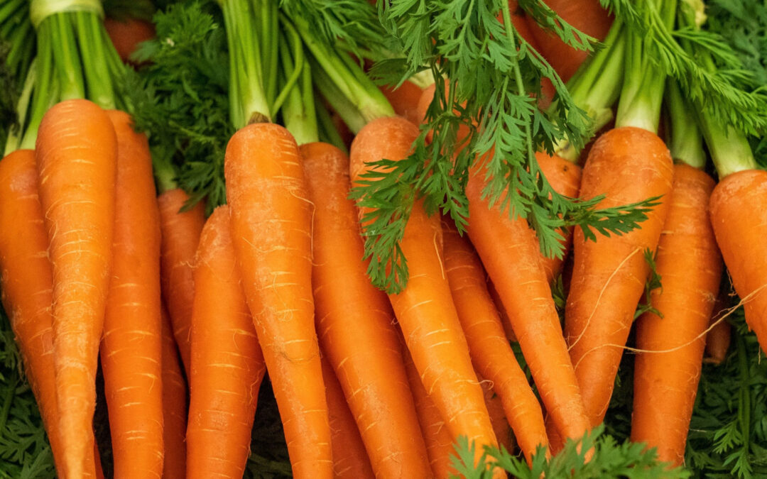 Carrots
