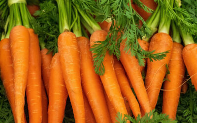 Carrots