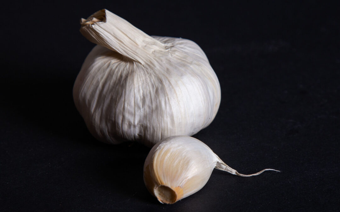 Garlic