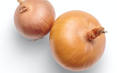 Onions