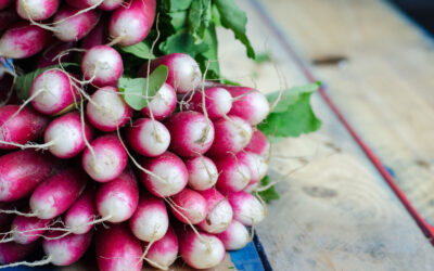 Radishes