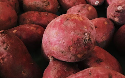 Sweet Potatoes