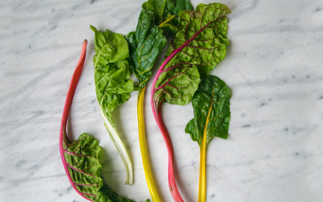 Swiss Chard