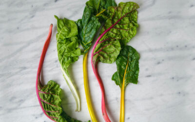 Swiss Chard