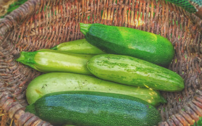 Zucchini