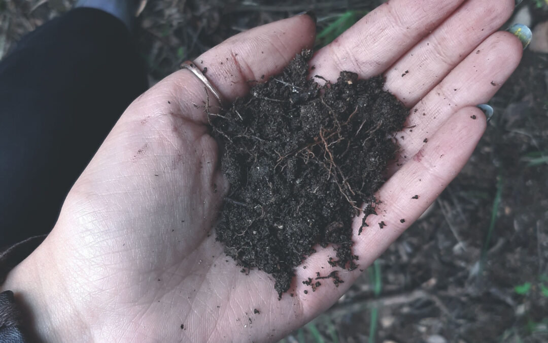 Testing your gardens soil is a smart move