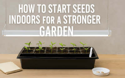 How to Start Seeds Indoors for a Stronger Garden