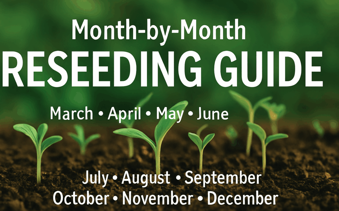 Month-to-Month Reseeding Guide