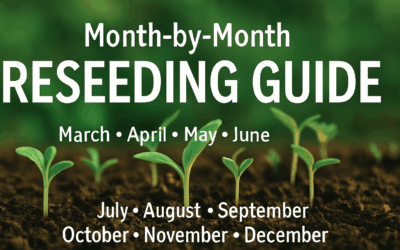 Month-to-Month Reseeding Guide