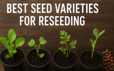 Best Varieties for Reseeding
